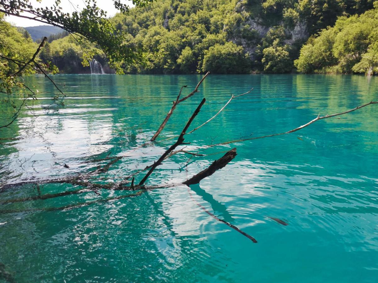 Green Garden Plitvice Lakes Plitvica selo Exteriör bild